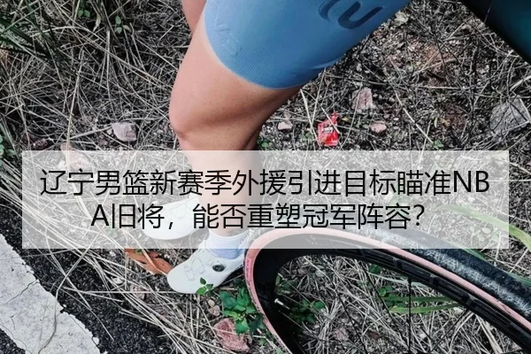 辽宁男篮新赛季外援引进目标瞄准NBA旧将，能否重塑冠军阵容？