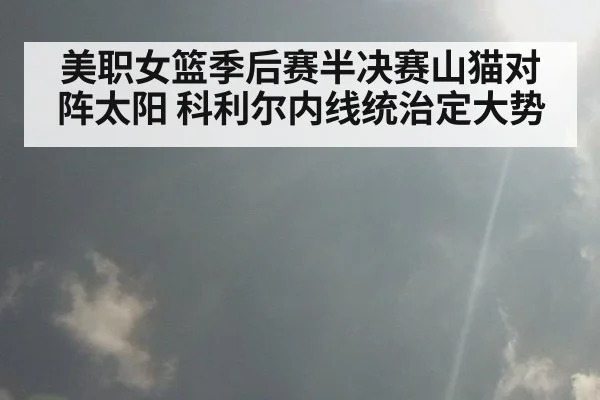 美职女篮季后赛半决赛山猫对阵太阳 科利尔内线统治定大势